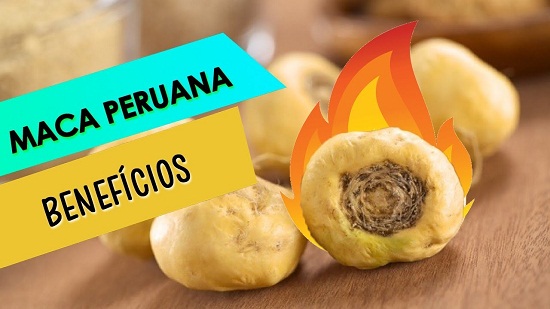 Kit 10 potes Maca Peruana Tiago Rocha 600 cápsulas - Imagem 2