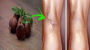 Castanha da Índia Circulatório 120 cápsulas - Imagem 2