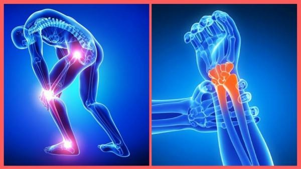 KIT COLÁGENO TIPO 2 + VITAMINA E 320mg C/ 2 FRASCOS 120 CÁPSULAS - Imagem 2