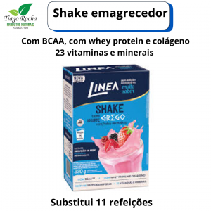 Shake Sabor Iogurte Grego Frutas Vermelhas
