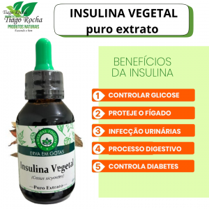 Insulina Vegetal 60ml gotas