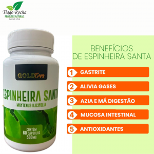 Espinheira Santa 60 cápsulas doenças do estômago